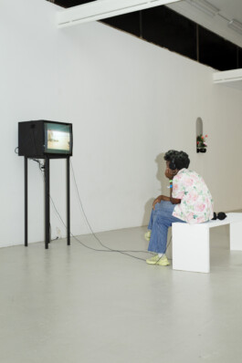 Tracy Maurice