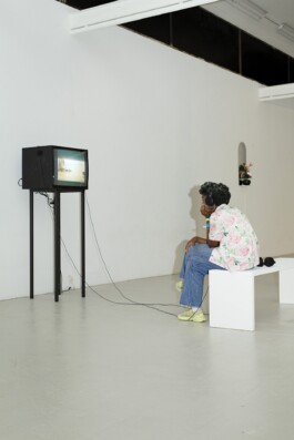 Tracy Maurice